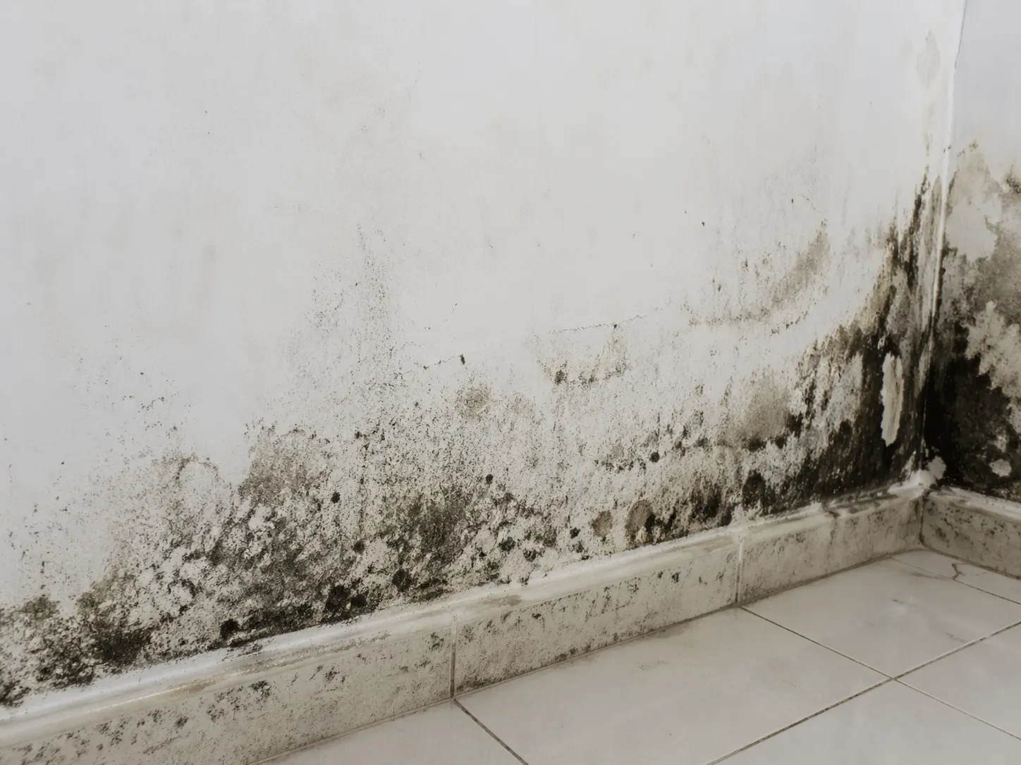 Zwarte schimmelvorming op een binnenmuur door vochtproblemen.