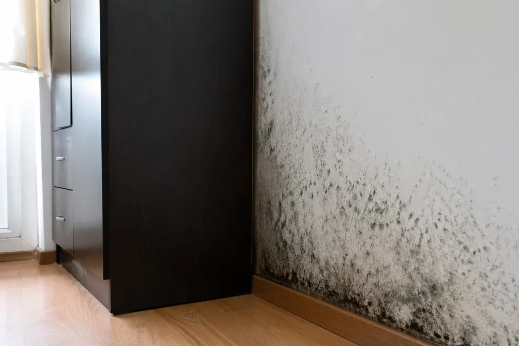 Donkere schimmelvorming op een buitenmuur achter een kast door vocht en beperkte ventilatie.