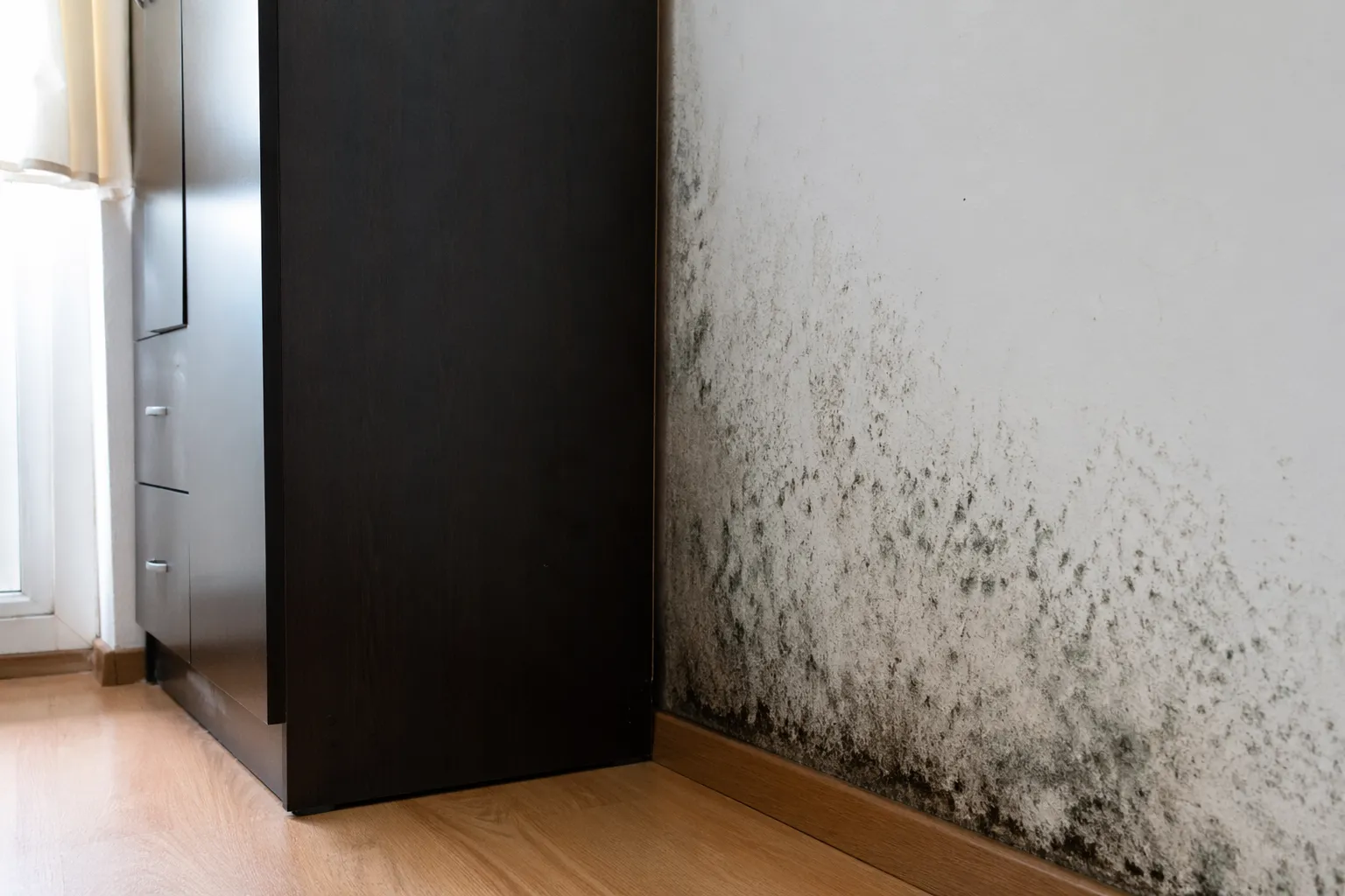 Donkere schimmelvorming op een buitenmuur achter een kast door vocht en beperkte ventilatie.